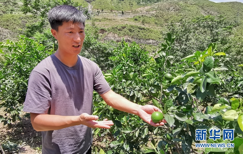 281606_1596590451712314.jpg 1126322470_15965059520091n.jpg