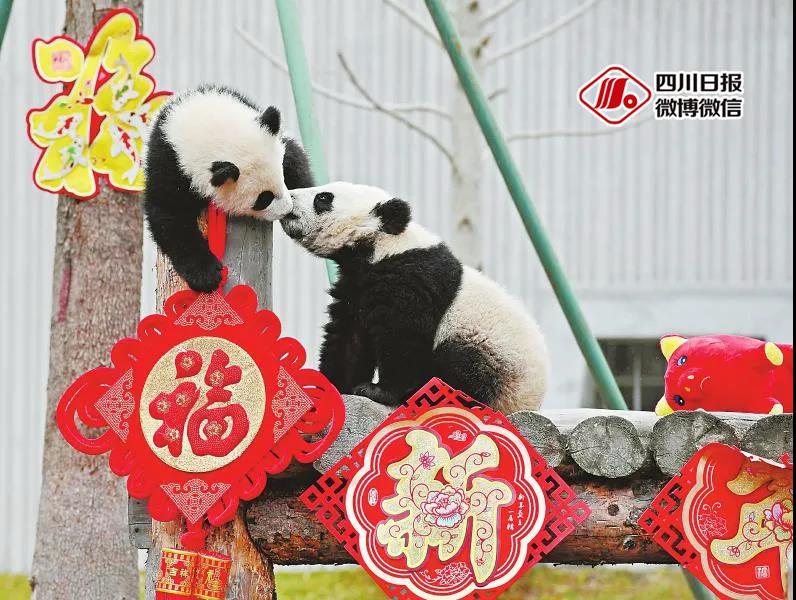 281877_1596770729128000.jpg 3.jpg