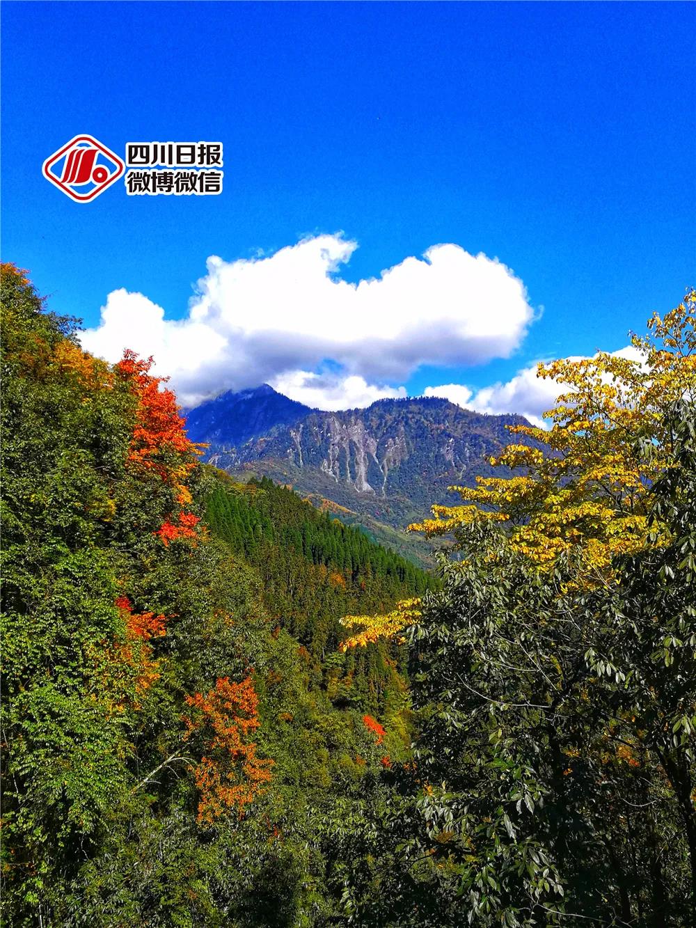 281877_1596770935695232.jpg 5.jpg