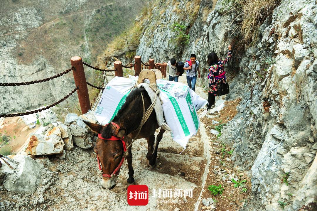 281877_1596945606850834.jpg 22.jpg