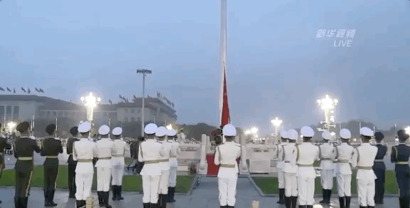 7.gif