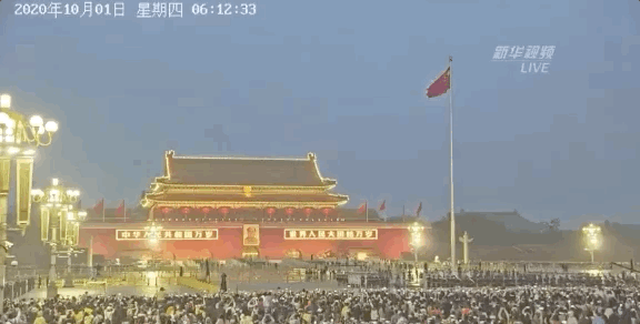 10.gif