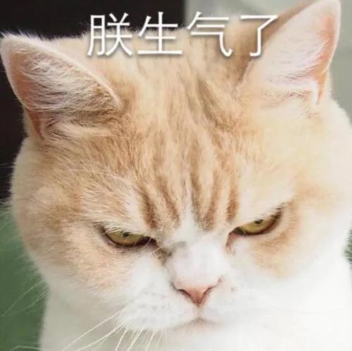 微信图片_20201124211535.jpg