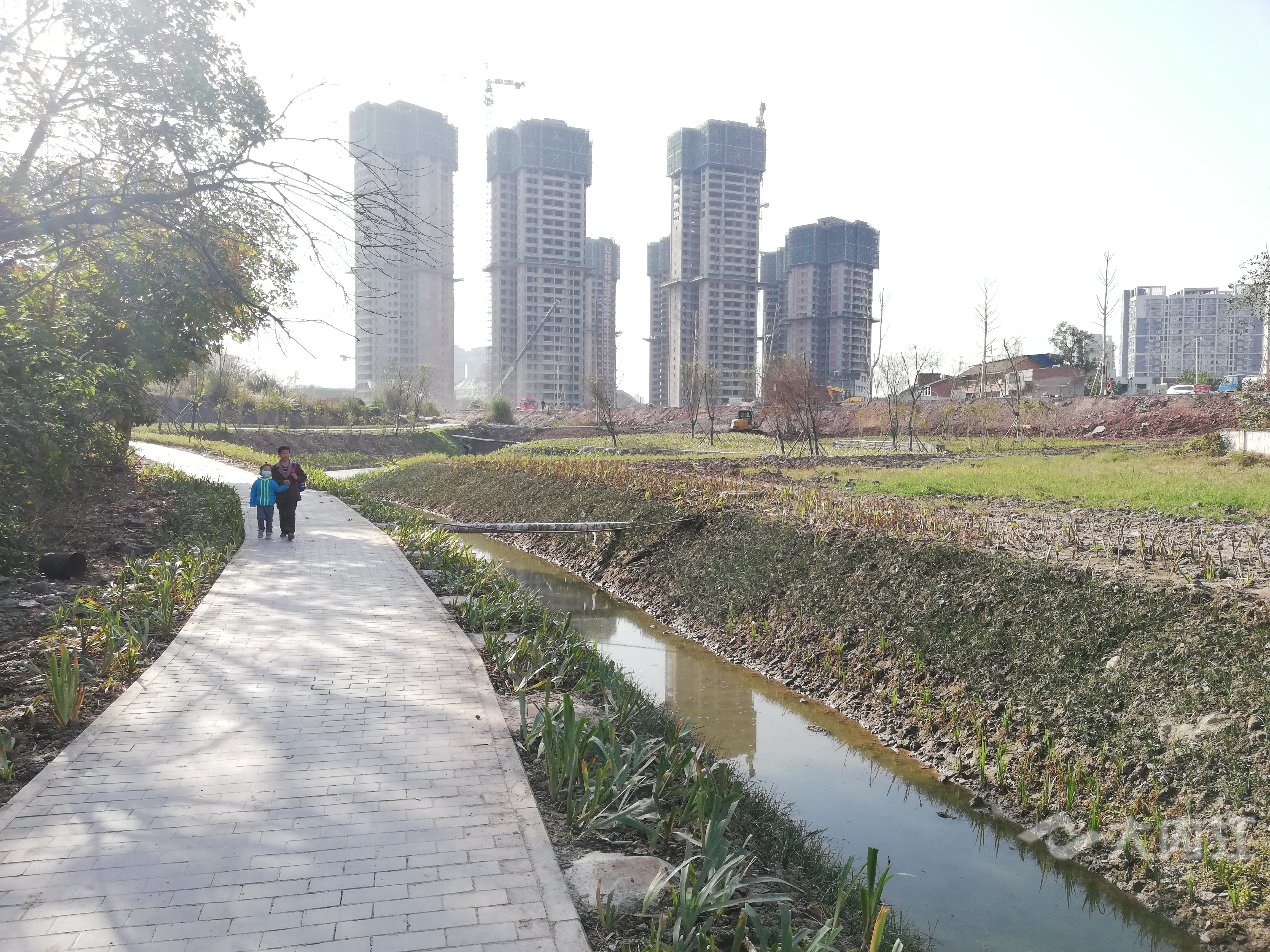 281876_1606004824768645.jpg 蟠龙冲黑臭水体11月1.jpg