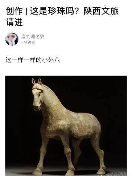 67.jpg