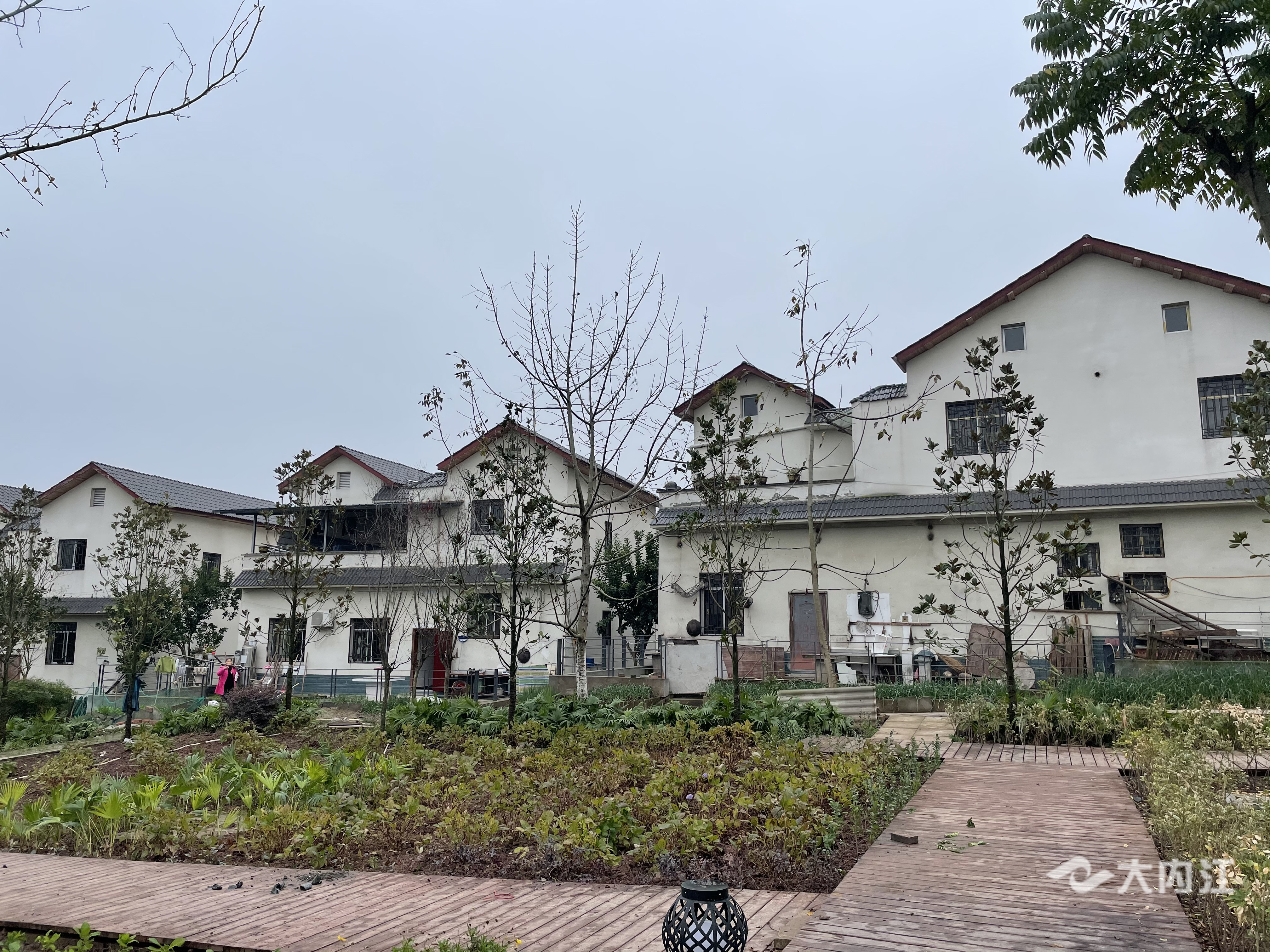 QQ图片20201204091812.jpg
