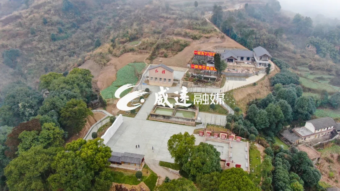 269955_1612061275567706.jpg 1.webp.jpg