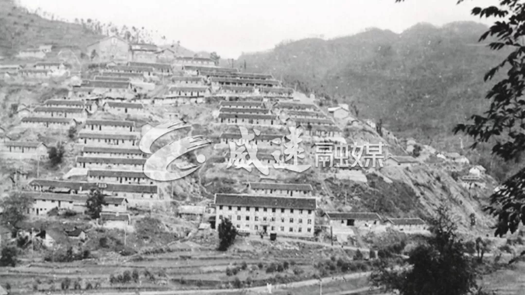 269955_1612061317524569.jpg 4.webp.jpg