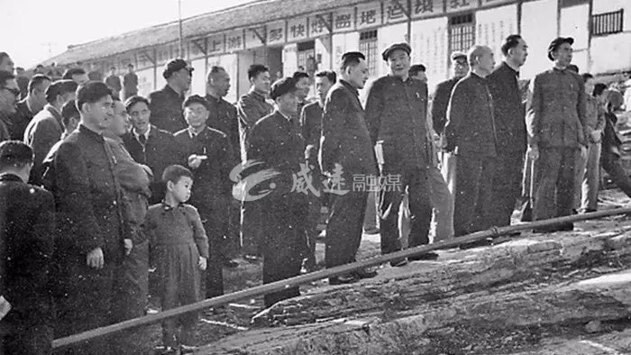 269955_1612061337853195.jpg 5.webp.jpg