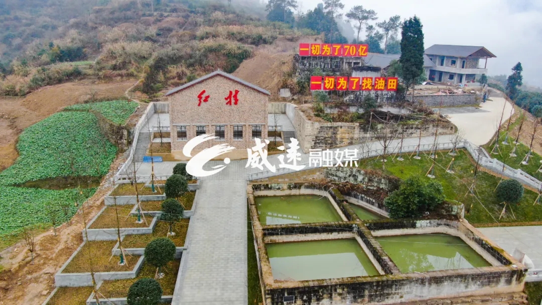 269955_1612061351163527.jpg 6.webp.jpg