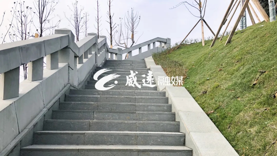 269955_1612061371504311.jpg 8.webp.jpg