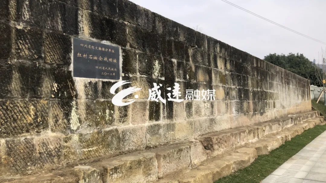 269955_1612061499267328.jpg 13.webp.jpg