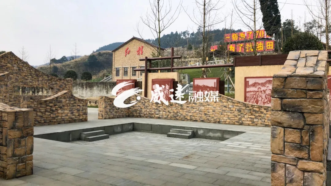 269955_1612061669828999.jpg 18.webp.jpg