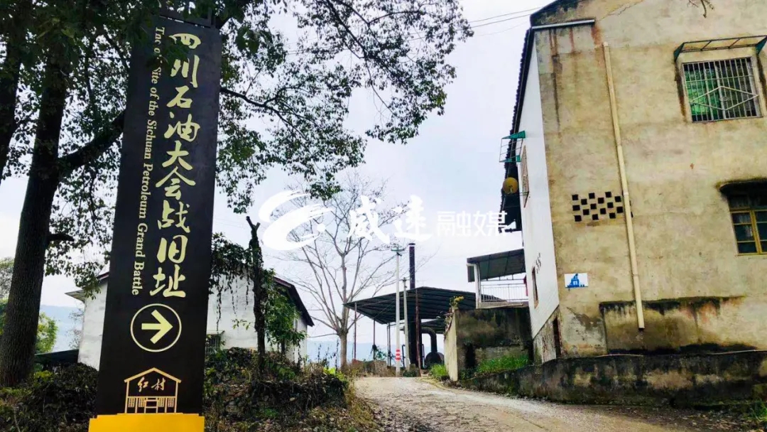 269955_1612061701560708.jpg 21.webp.jpg