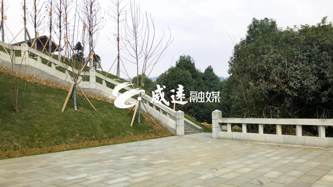 269955_1612061735919087.jpg 23.webp.jpg