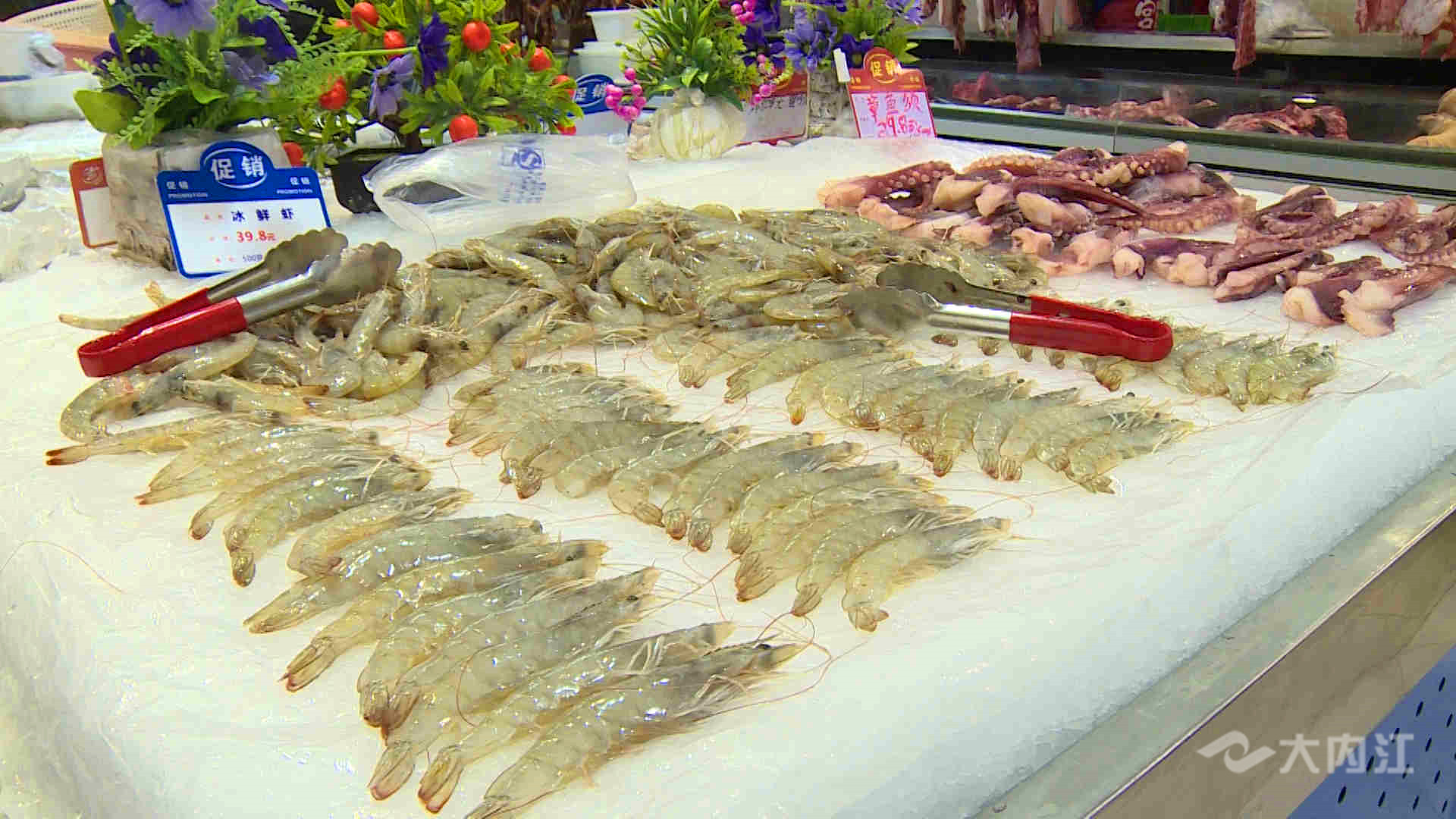 281606_1611986429150334.jpg 308_1036_01.00_02_17_17.静止003.jpg