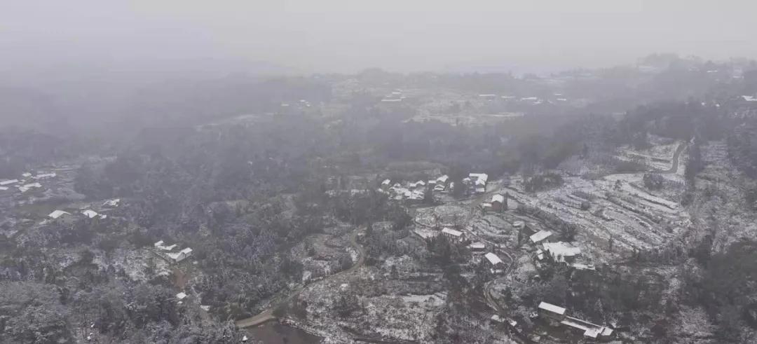 雪3.jpg