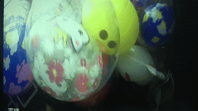 269955_1612745119475226.gif 5.gif