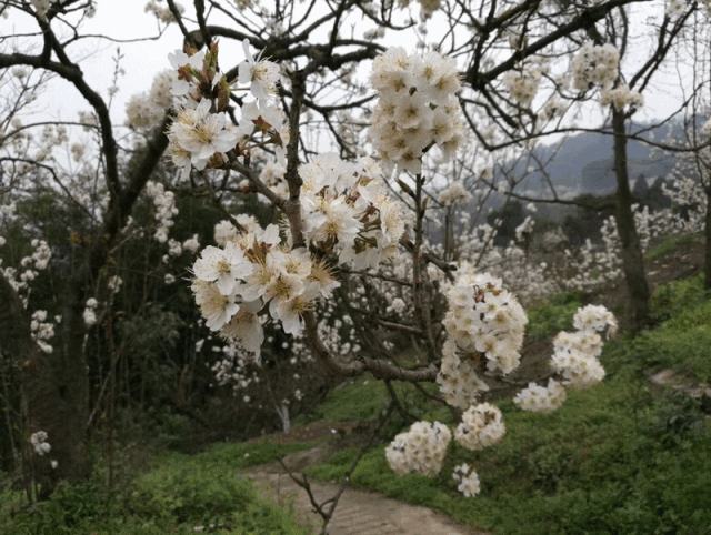 269955_1613726074571099.gif 17.gif