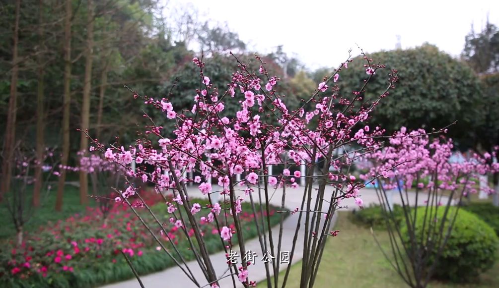 269955_1613726101510406.jpg 20.jpg