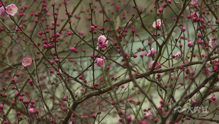 281606_1612312894814017.png QQ图片20210203084042.png