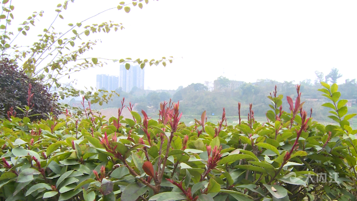 281606_1612312952478886.png QQ图片20210203084025.png