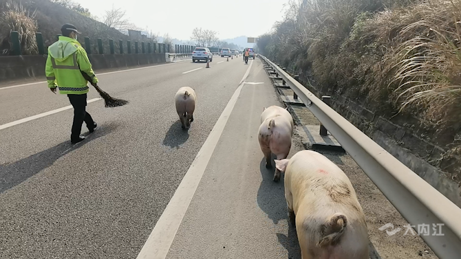 微信图片_20210223092742.png