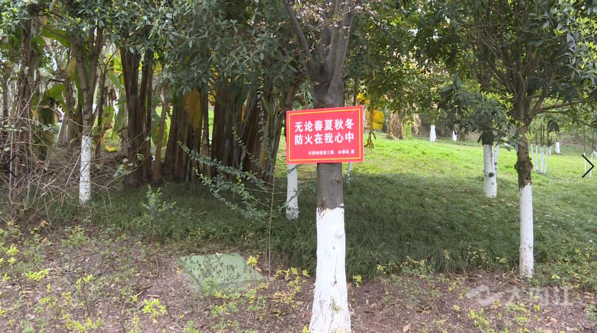 QQ截图20210225211955.jpg