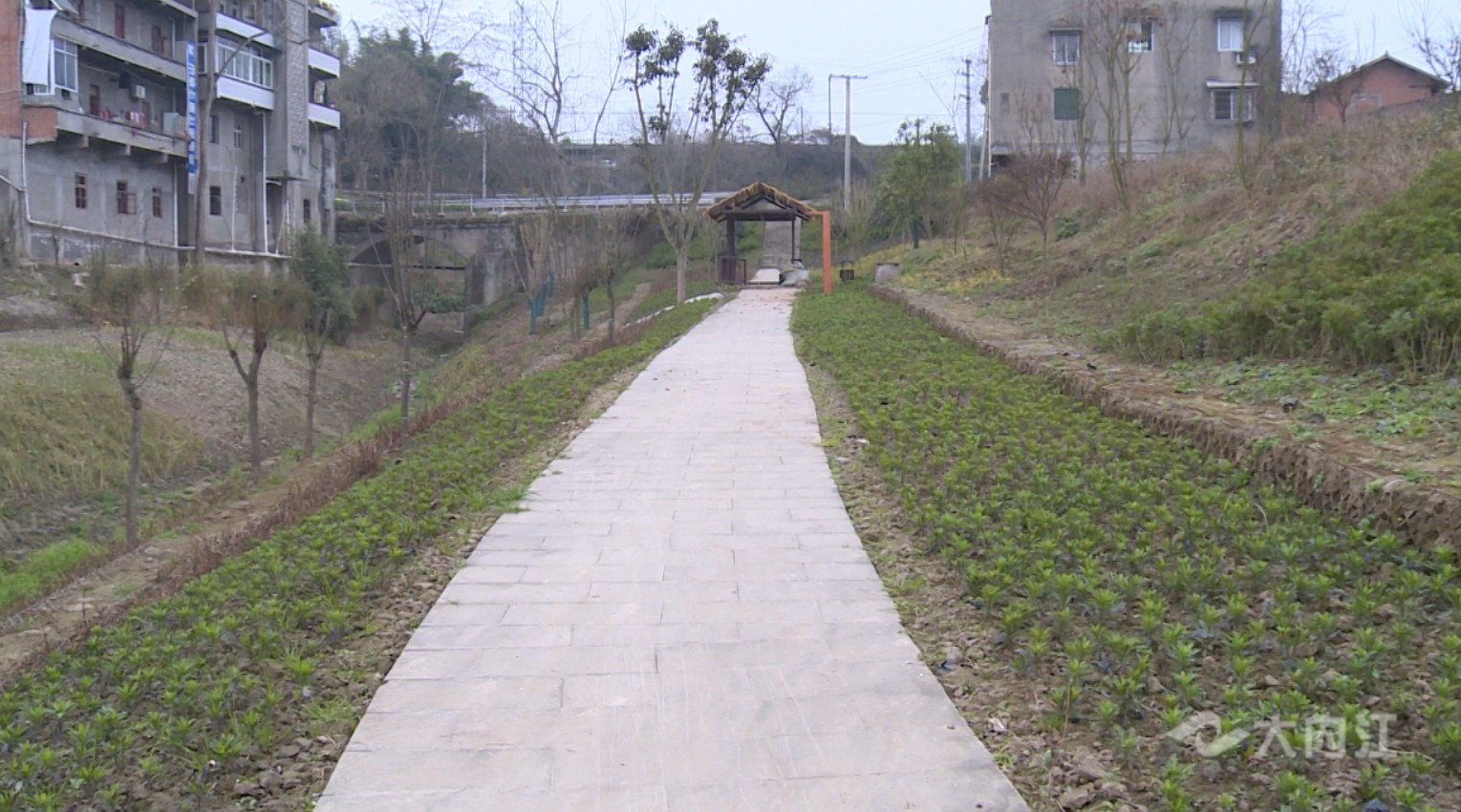 282022_1612317534271241.jpg 游步道.jpg