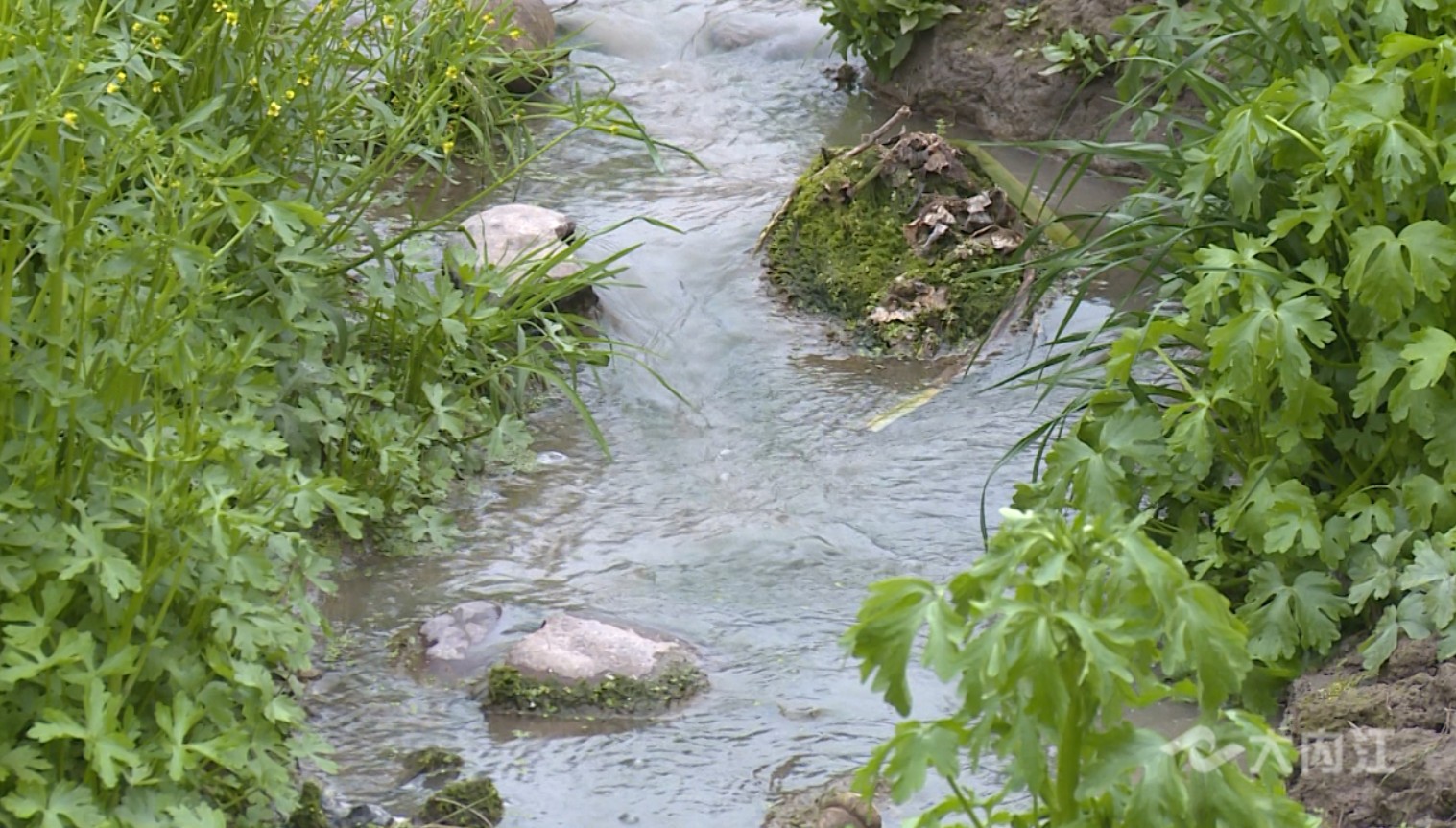 282022_1612317654580072.jpg 水2.jpg