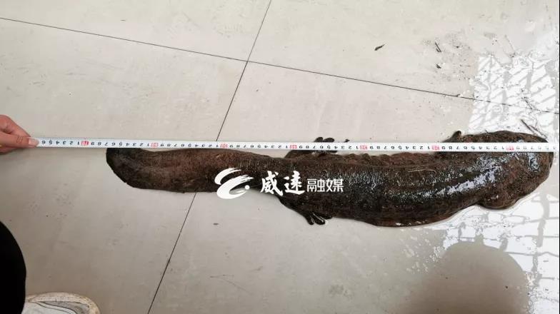 微信图片_20210219202331.jpg