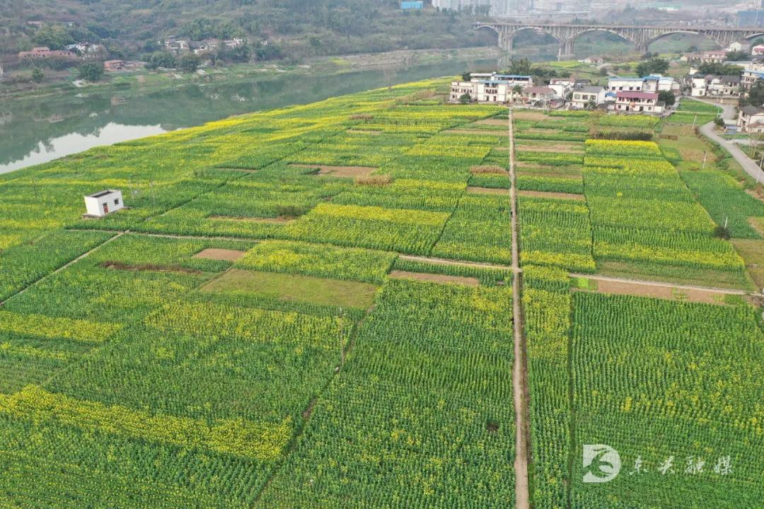 东兴27.jpg