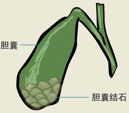 健康内江3.jpg