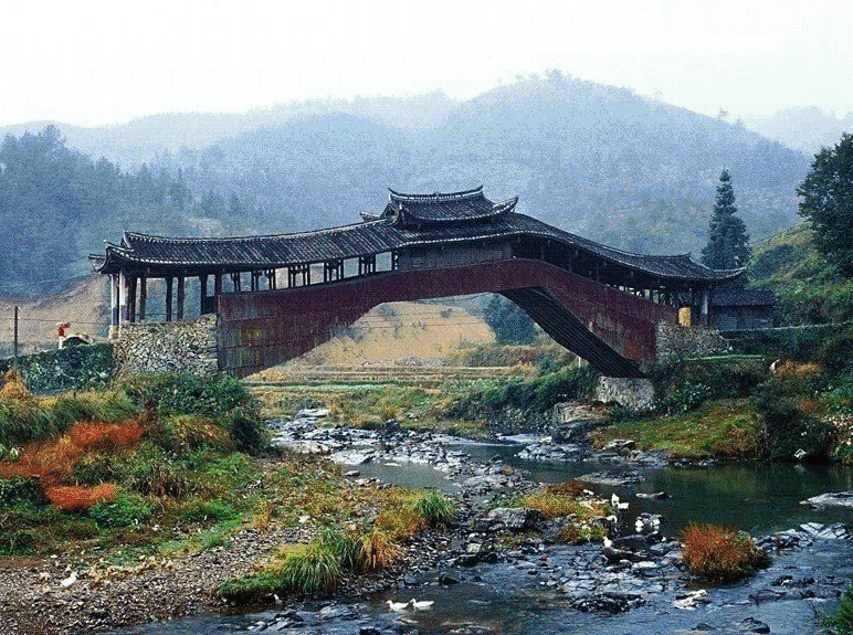 weiyuan1.gif