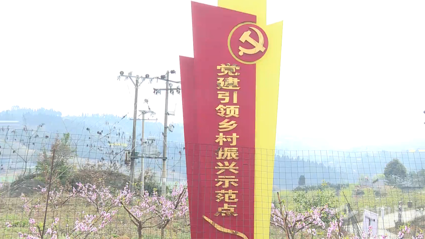 QQ图片20210309225829.jpg