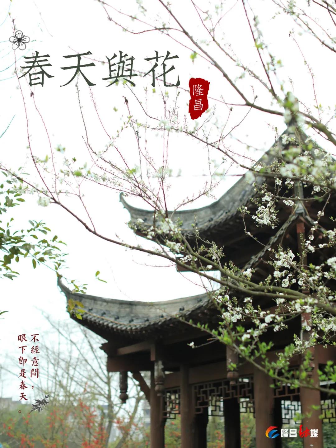 微信图片_20210303104008.jpg