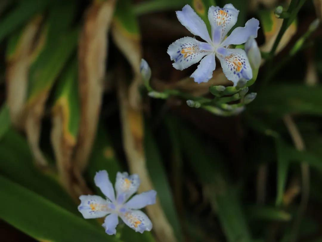 微信图片_20210303104641.jpg