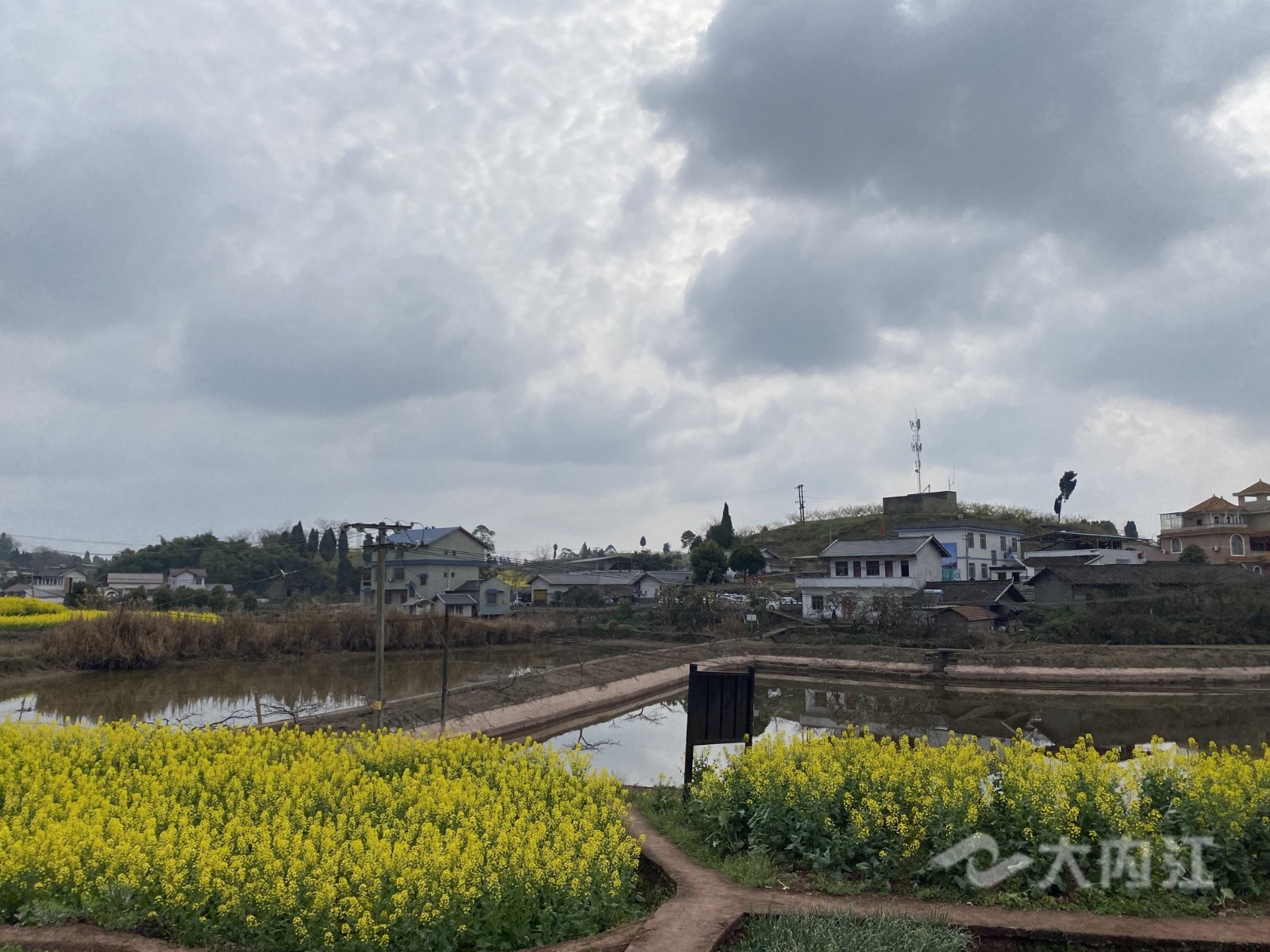 QQ图片20210304124014.jpg