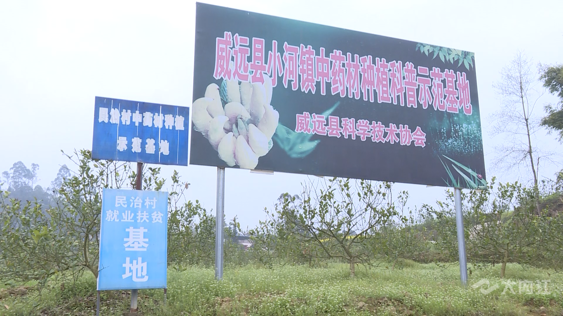 小河镇2.png