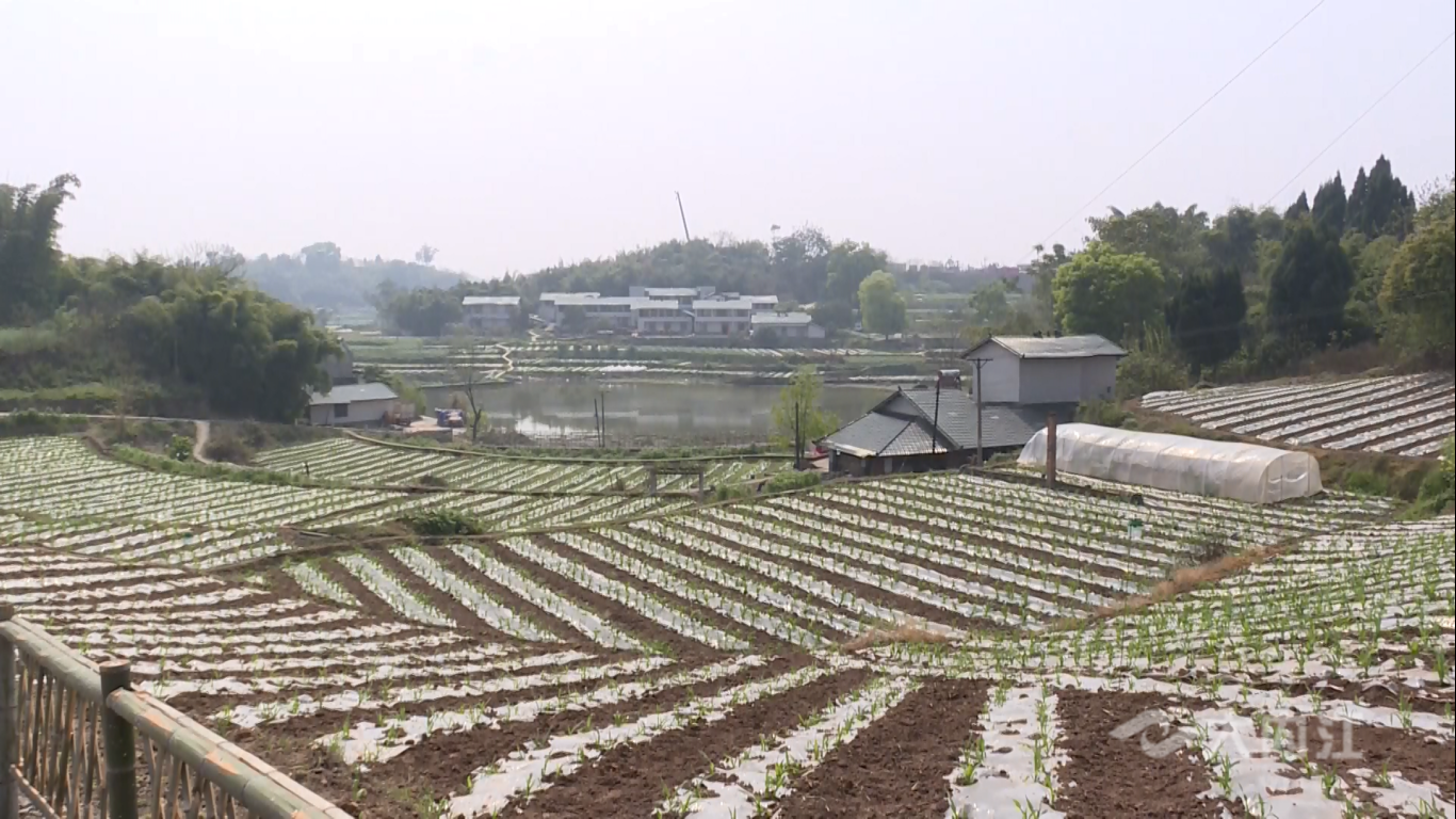 助力乡村振兴1.png