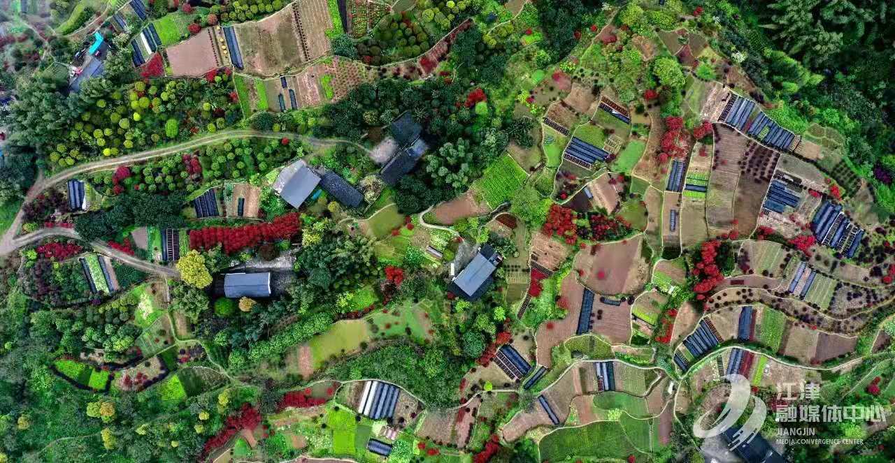 川渝6.jpg