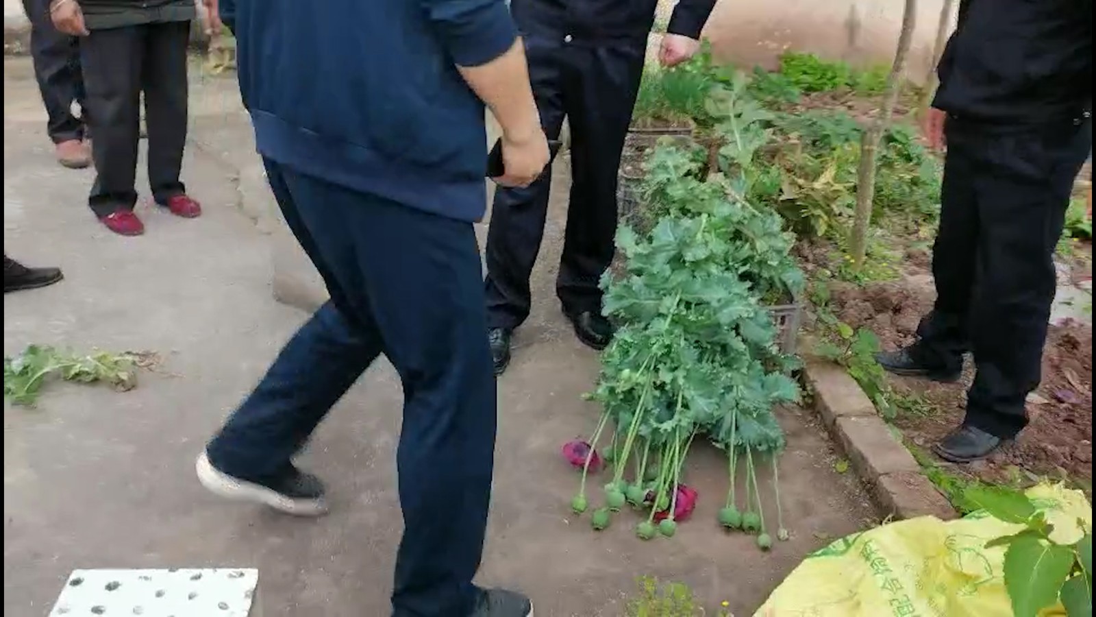 序列 04.00_01_12_10.Still015.jpg