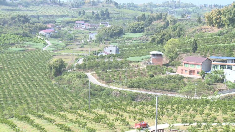 282035_1617853758435937.png 5.png