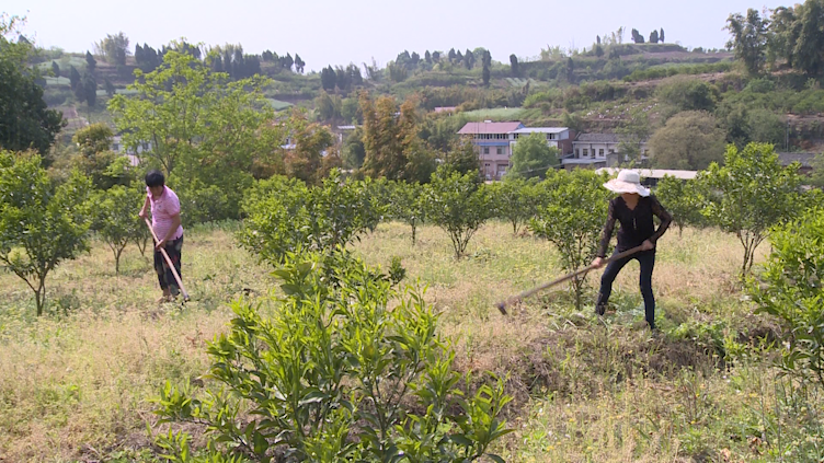 282035_1617853779687740.png 7.png