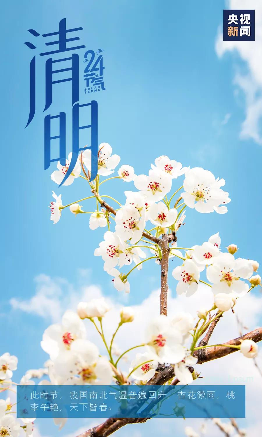 清明5.jpg