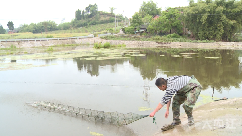 286258_1618803271959968.png 3d91baf61038879f2459a923537c142_副本.png