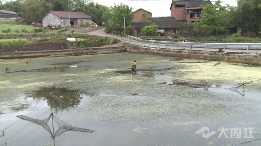 286258_1618803339721571.png 799738df4c17a489f2dd1fb1fff5570_副本.png