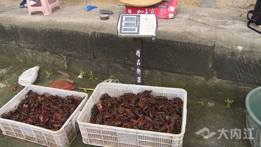 286258_1618803356395621.png e124b78fcec732489cf55ad90ea11d4_副本.png