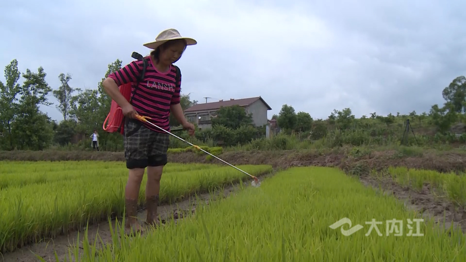 281876_1621838264152698.jpg 微信图片_20210524143637.jpg