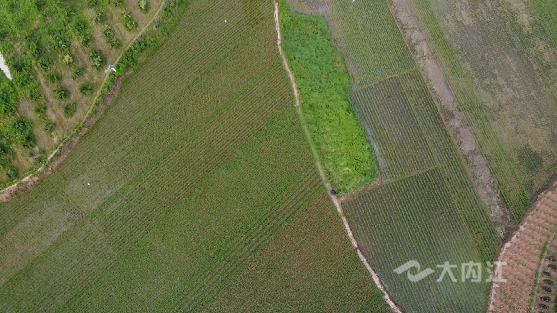 281876_1621838272464721.jpg 微信图片_20210524143630.jpg